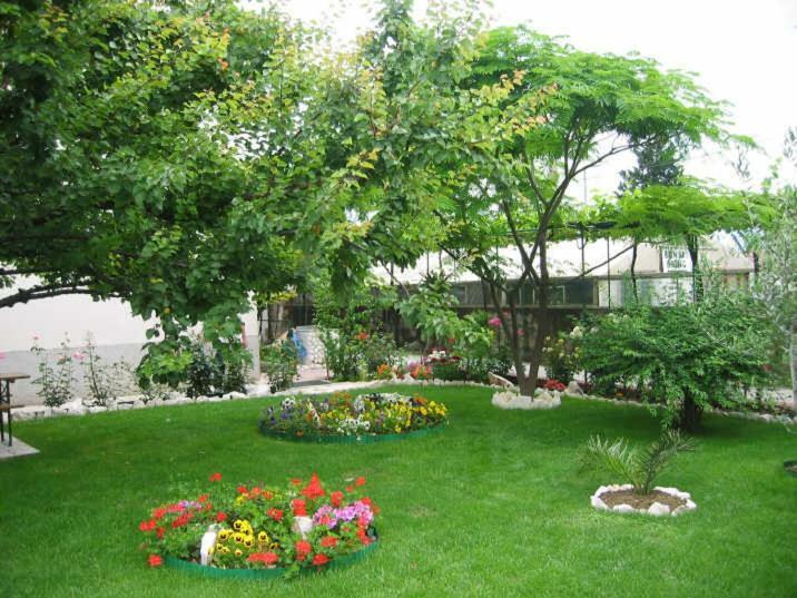 Apartment Luno